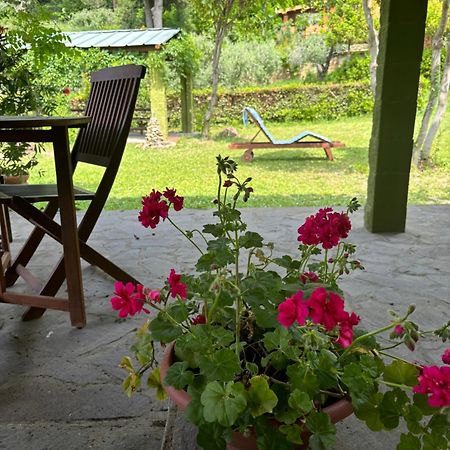 Casa Verde Country House Montescudaio Exterior foto