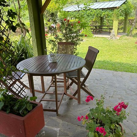 Casa Verde Country House Montescudaio Exterior foto